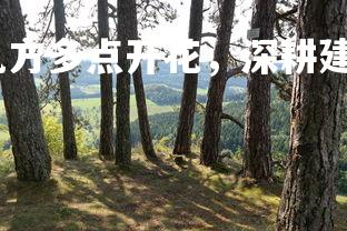 爱游戏体育-安徽九方多点开花，深耕建设积极表现，安微九方制药